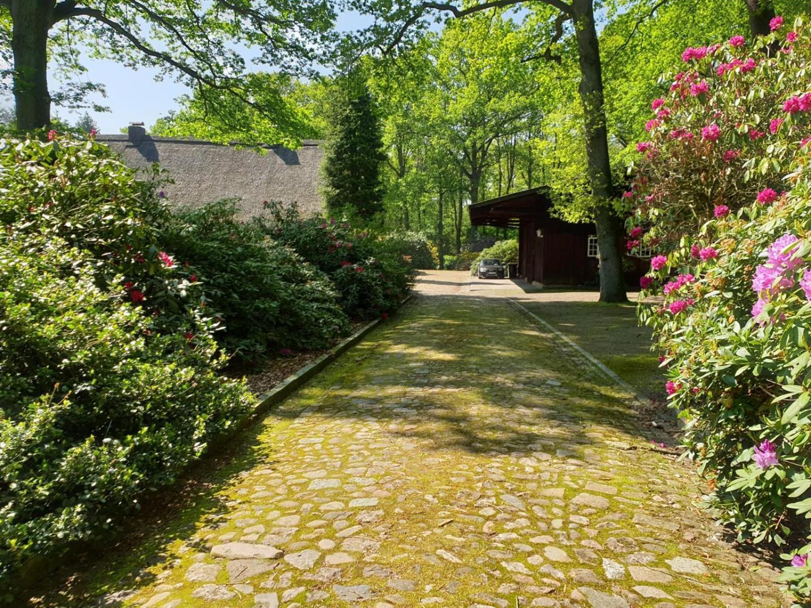 Hof Lindemann Villa Schneverdingen Exterior foto