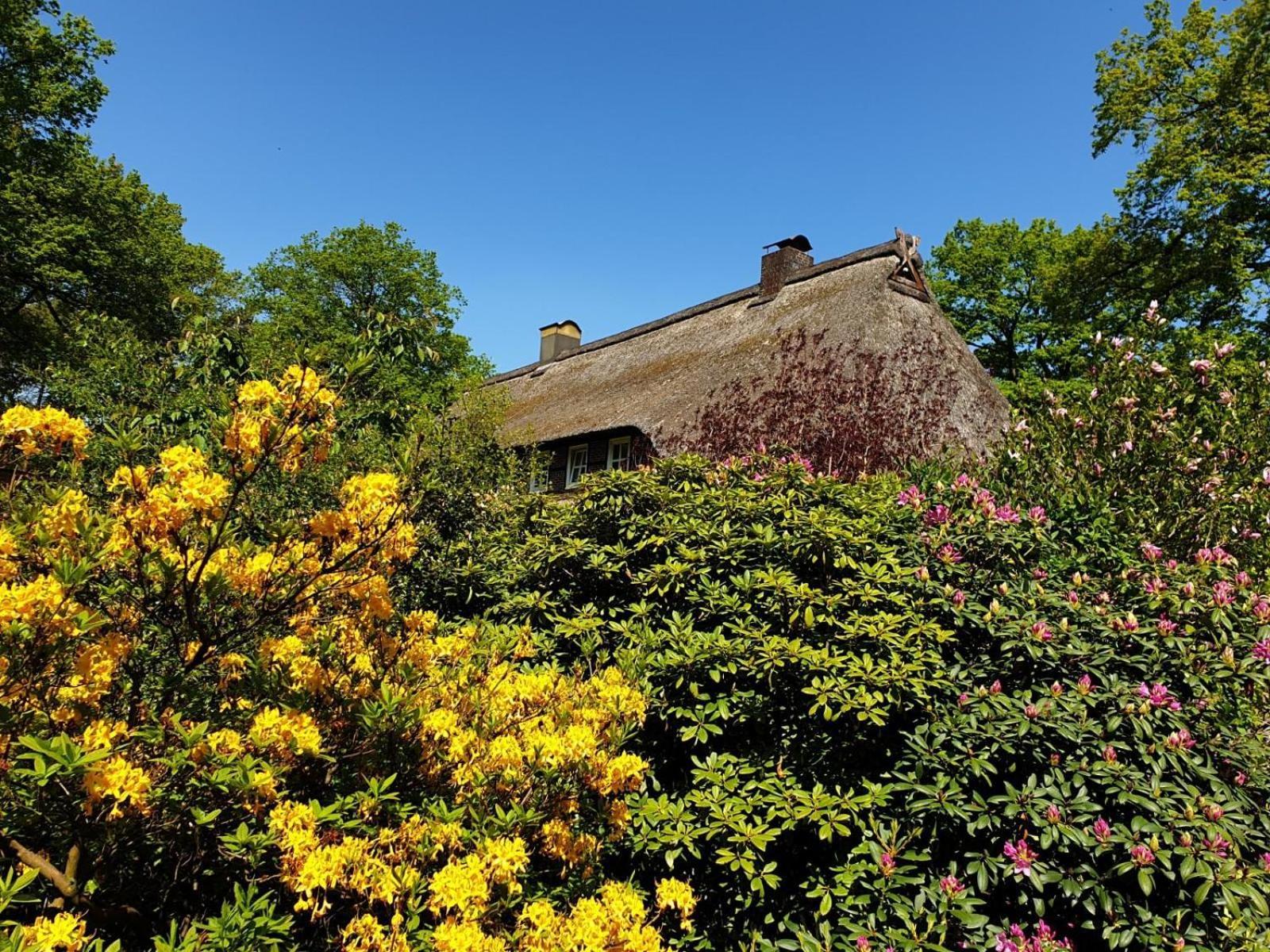 Hof Lindemann Villa Schneverdingen Exterior foto